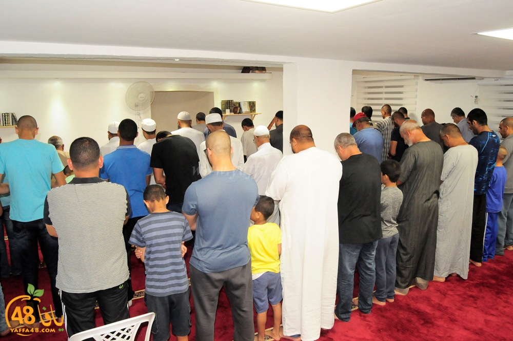 Mosala dahmash3j1 (16).JPG